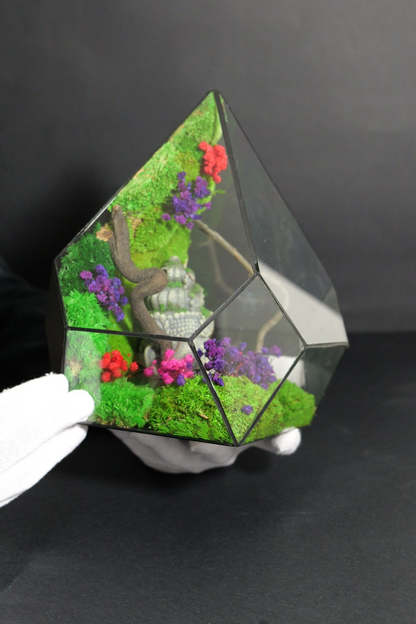 Terrarium 12