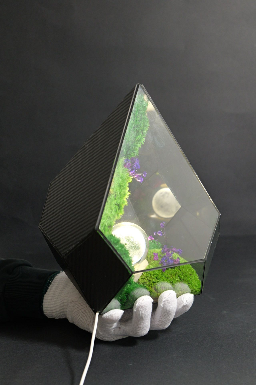 Terrarium ecosistemico naturale in equilibrio autonomo 3