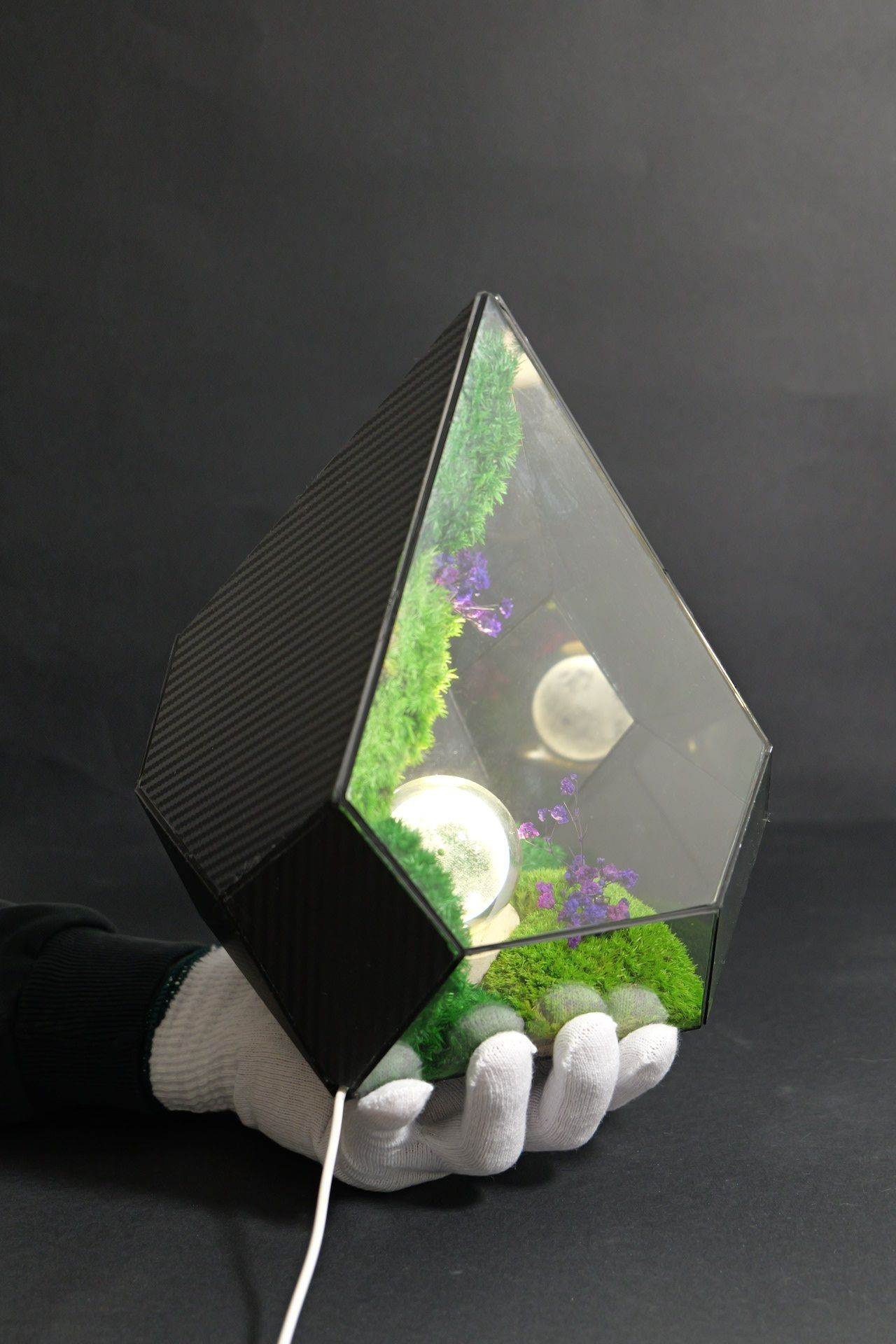 Terrarium ecosistemico naturale in equilibrio autonomo 3