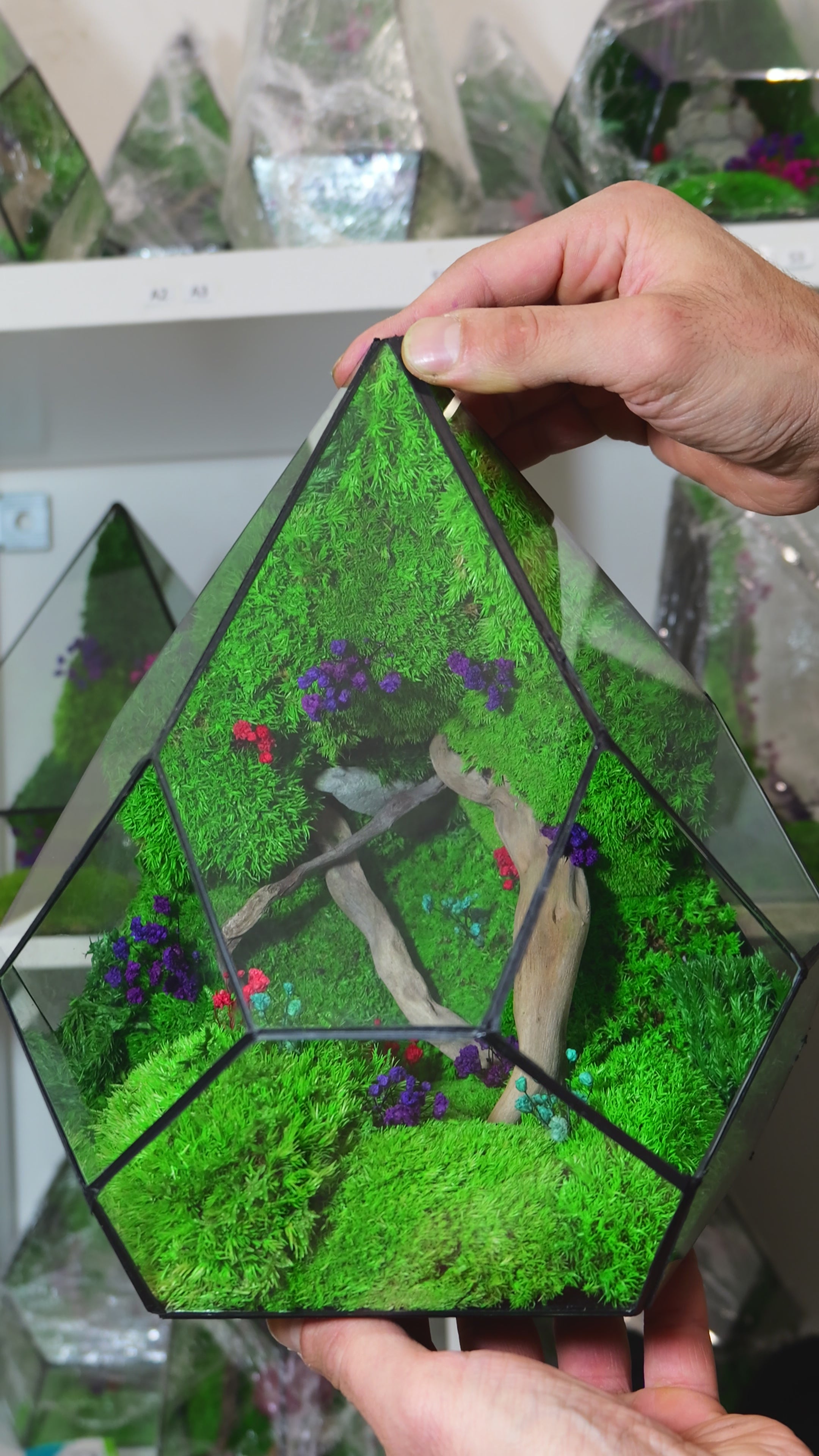 Terrarium Artigianale con Muschio Stabilizzato – Arredo Green Moderno 48