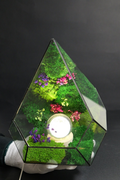 Terrarium 3