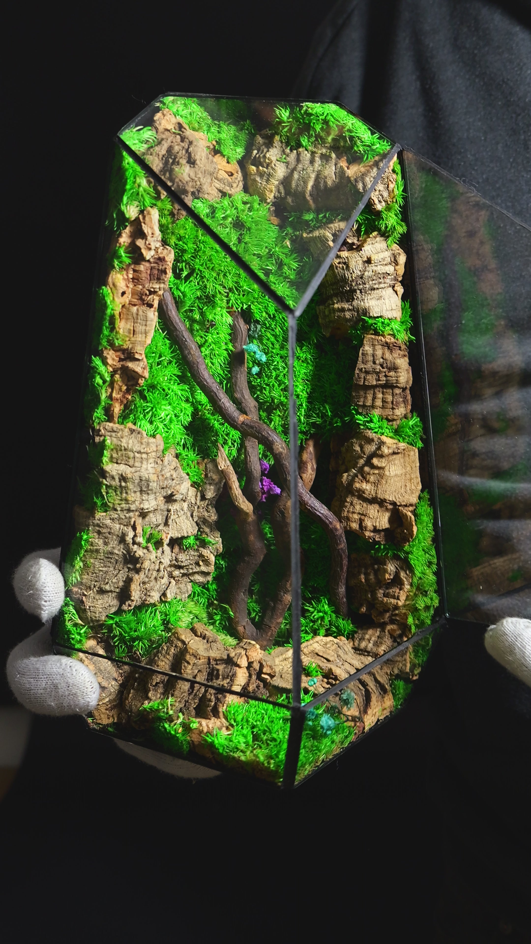 Terrarium con Piante Selezionate – Decorazione Naturale Premium 36