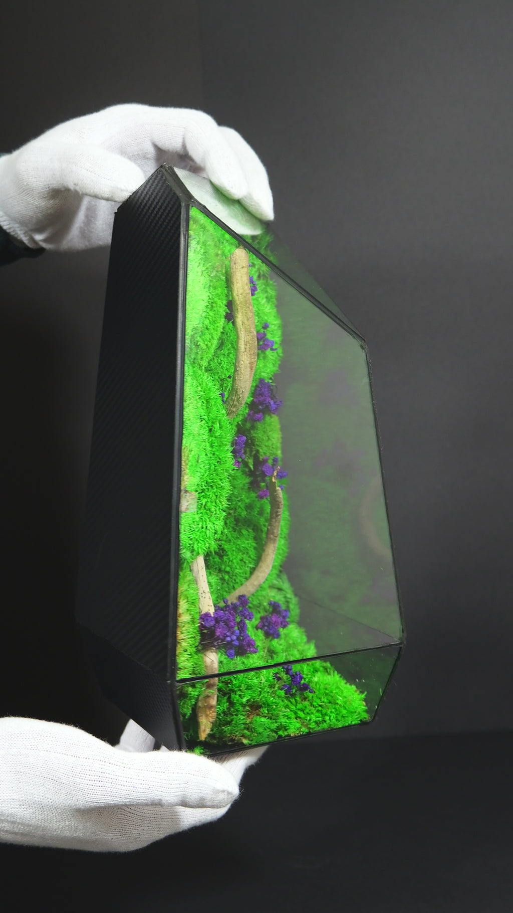 Terrarium Naturale Decorativo – Arredo Botanico per Interni 18
