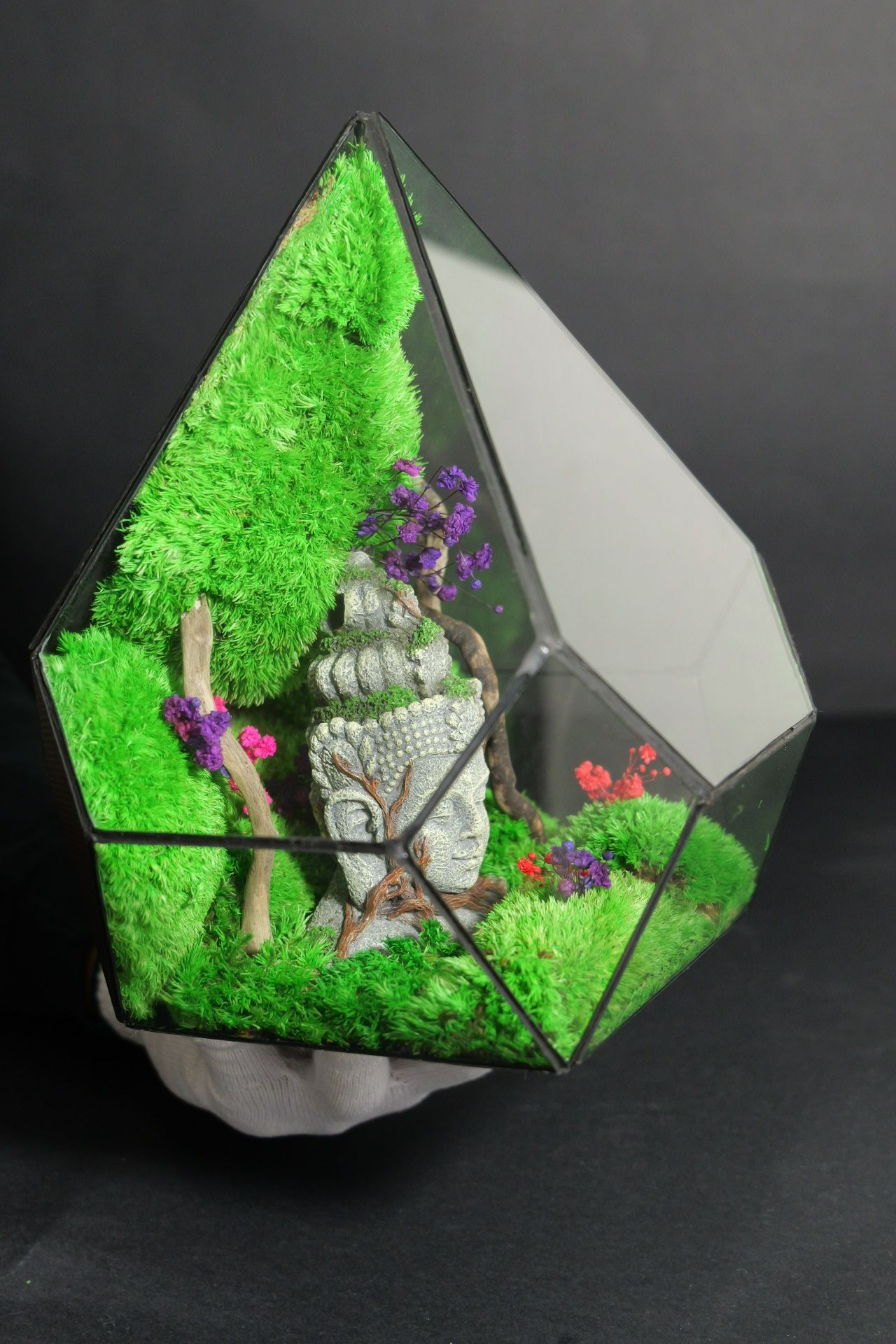 Terrarium 13