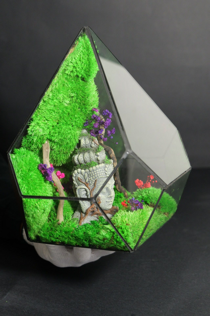 Terrarium 13