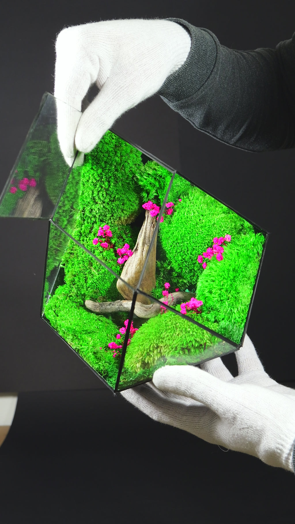 Terrarium di Design per Interni – Arredo Botanico Moderno 40