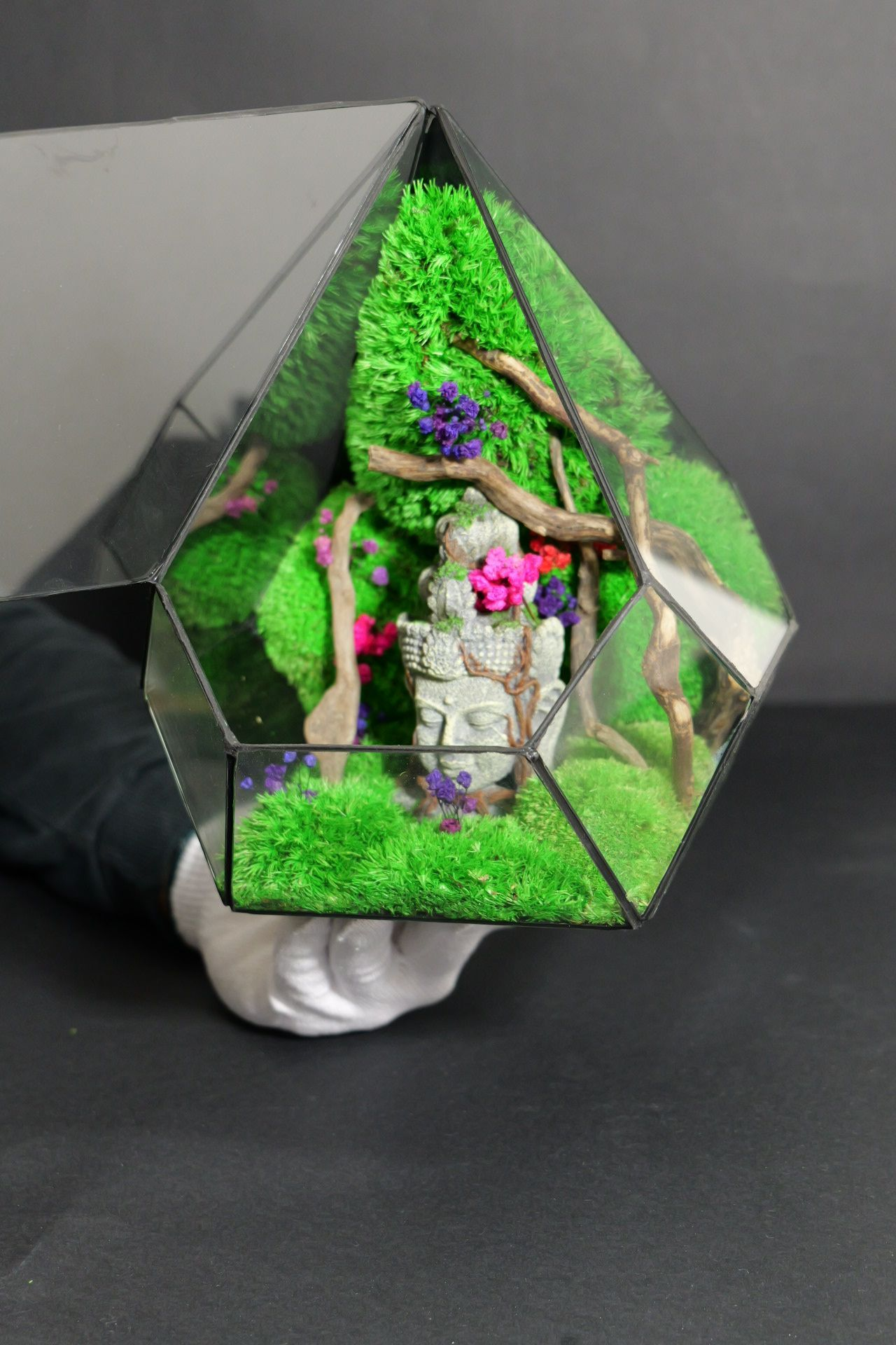 Terrarium 14
