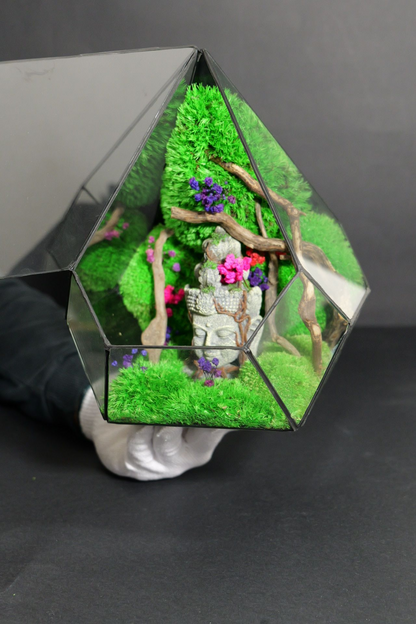 Terrarium 14