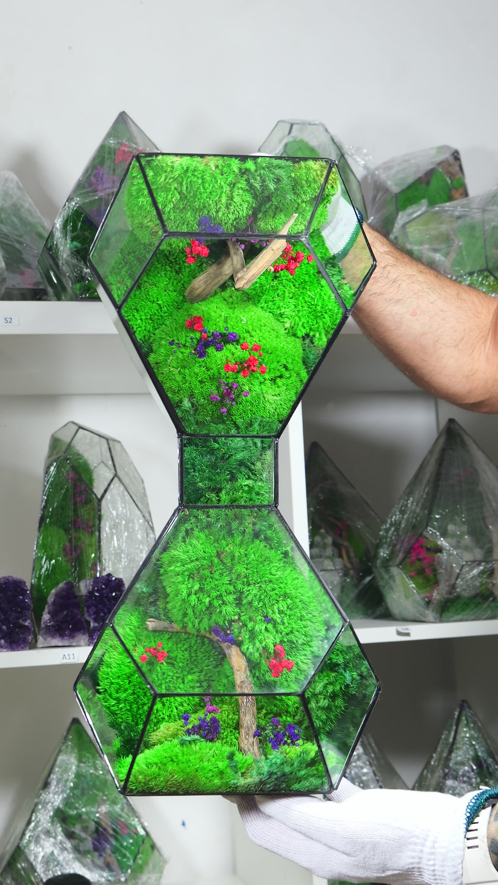 Terrarium in Vetro con Piante Naturali – Ecosistema Decorativo da Interno 50