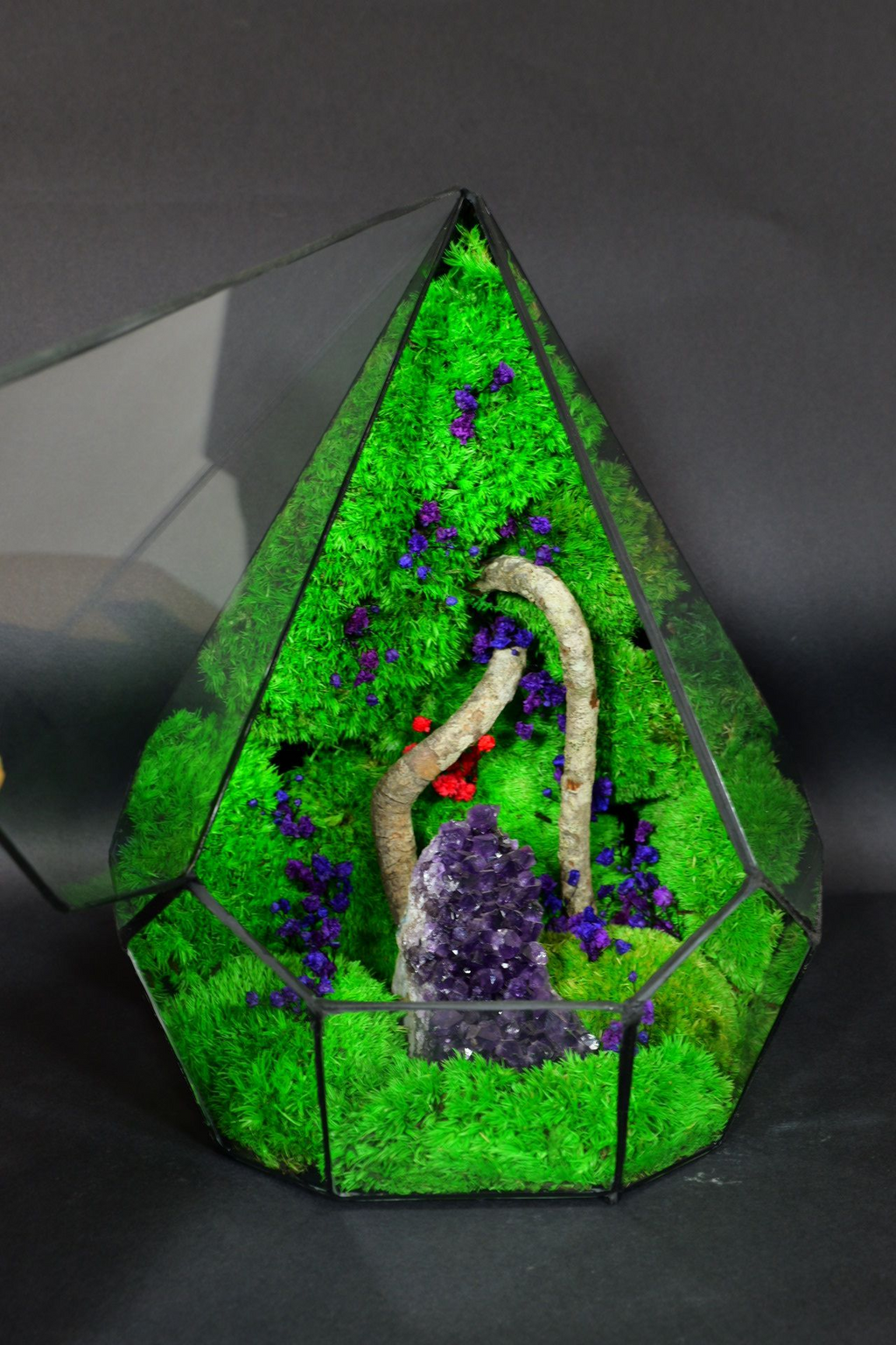 Terrarium Ornamentale da Tavolo – Decorazione Naturale Elegante 43