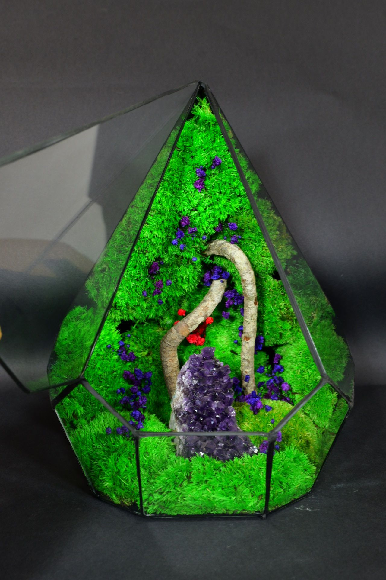 Terrarium Ornamentale da Tavolo – Decorazione Naturale Elegante 43