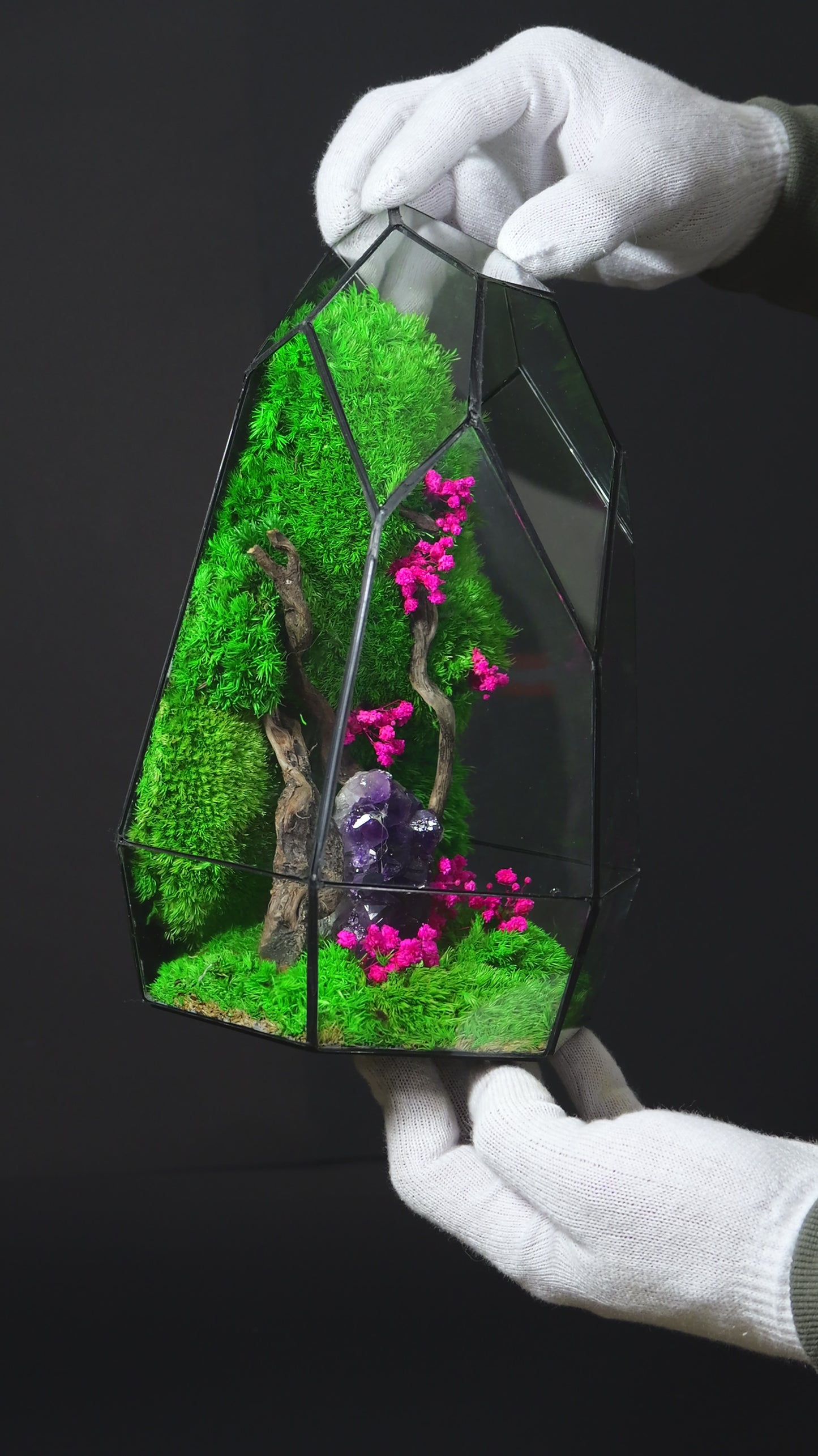 Terrarium 23