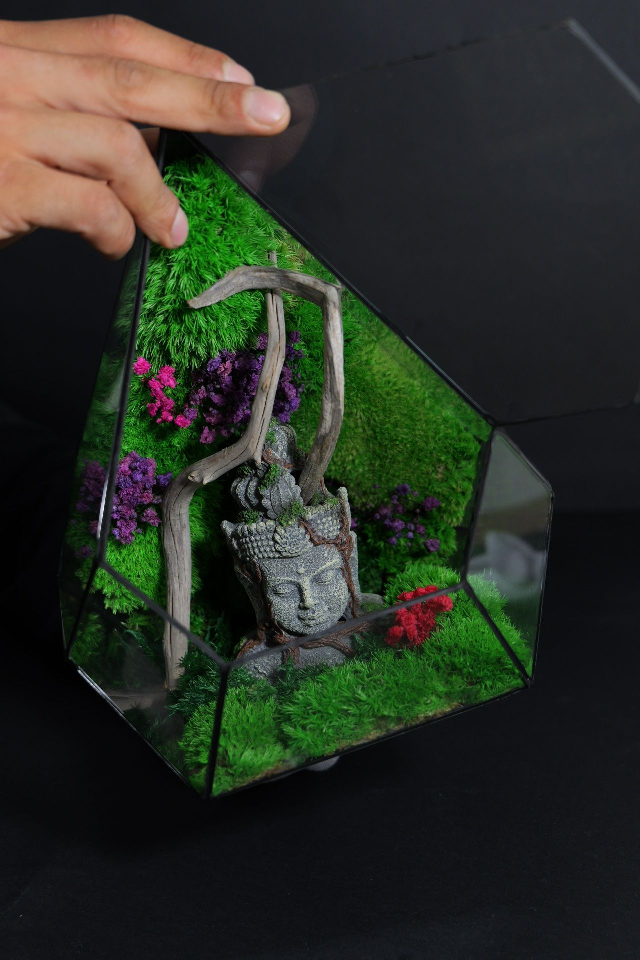 Terrario Autosufficiente – Regalo Green Originale