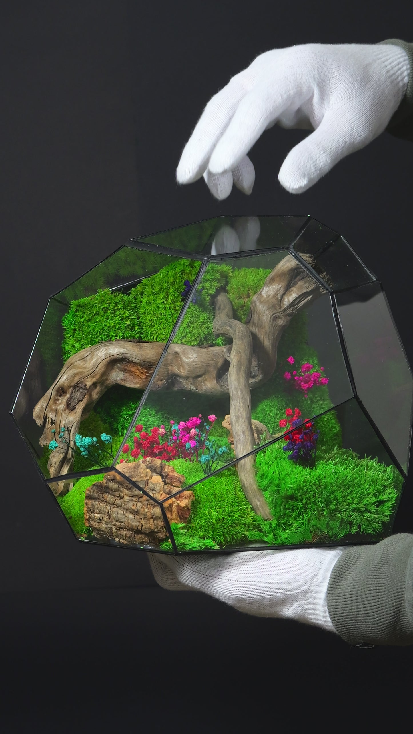 Terrarium 24 GRANDE