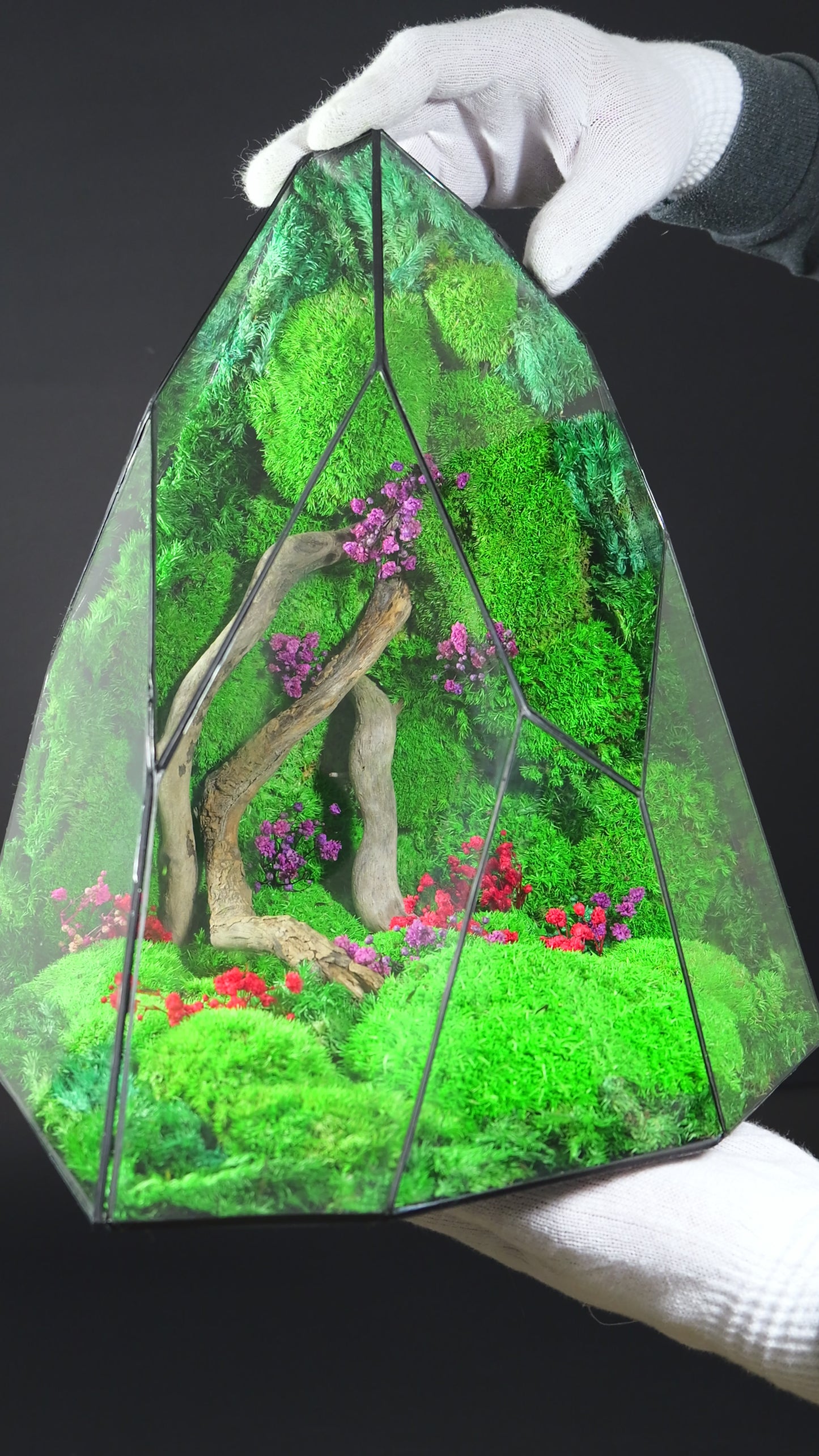 Terrarium 35 GIGANTE