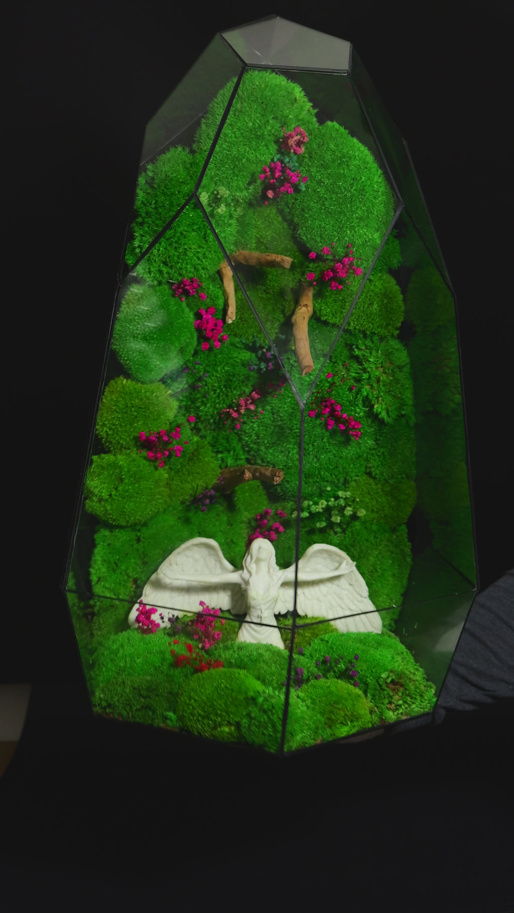 Terrarium Decorativo – Regalo Ecologico per Casa 38