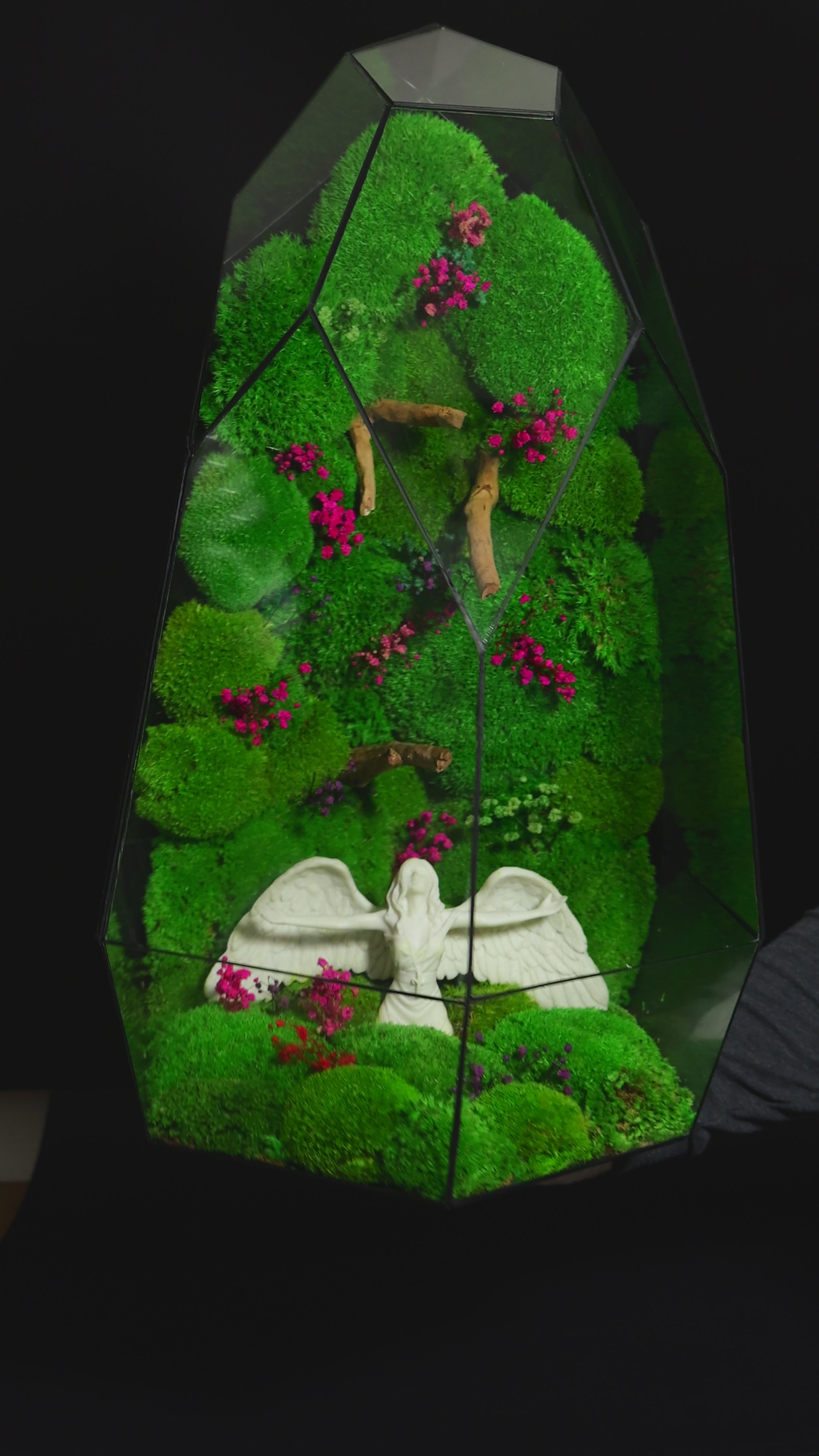 Terrarium Decorativo – Regalo Ecologico per Casa 38