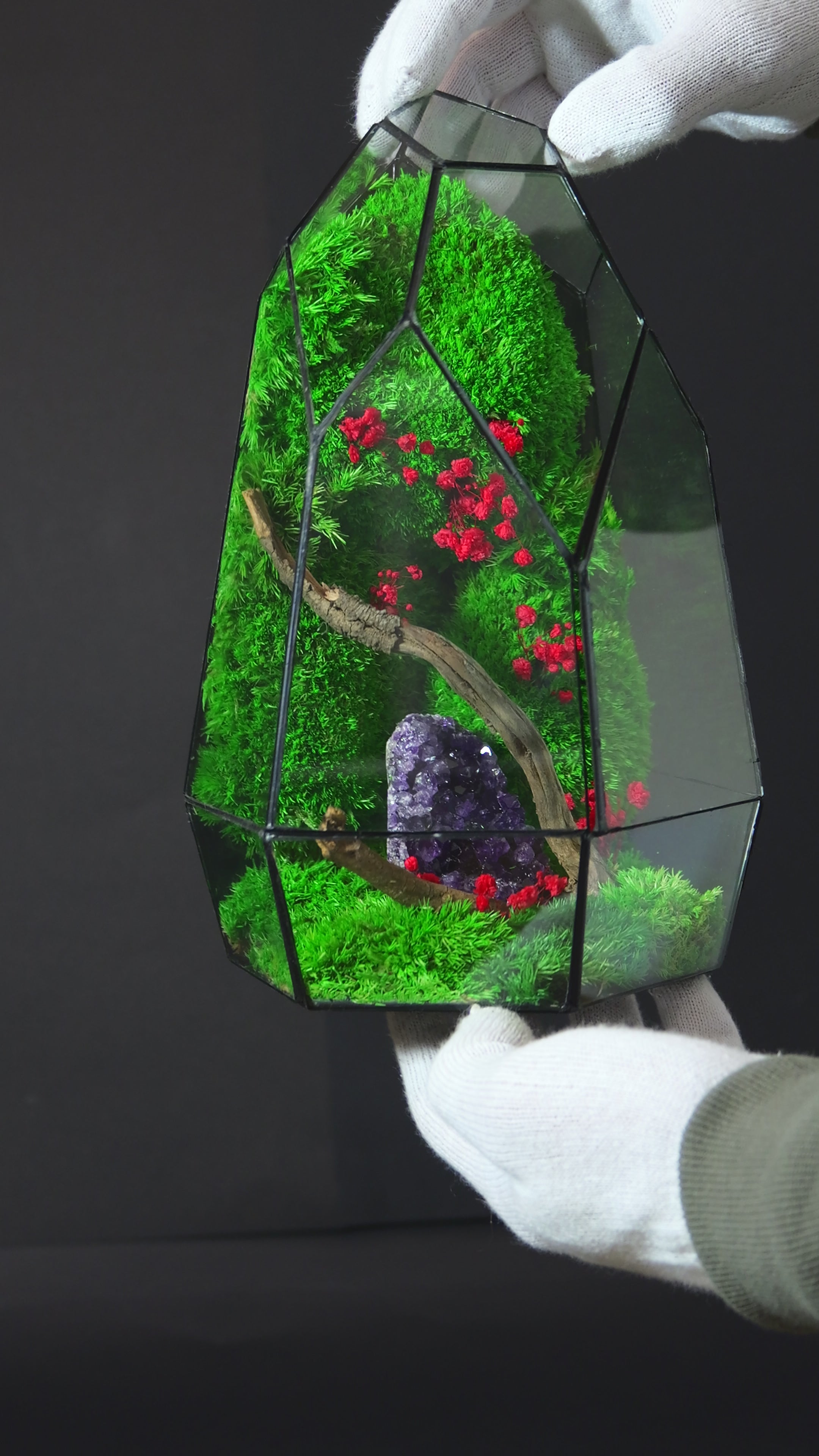 Terrarium Artigianale Premium – Idea Regalo Green Unica 26