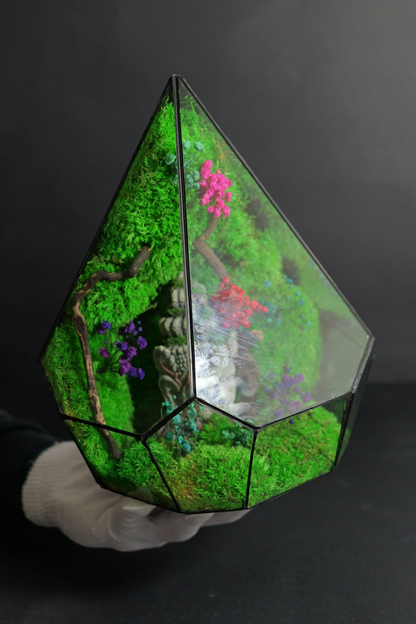 Terrarium 6