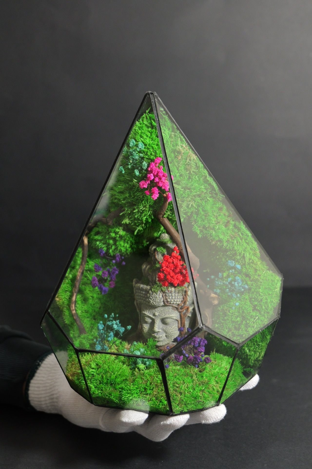 Terrarium 6