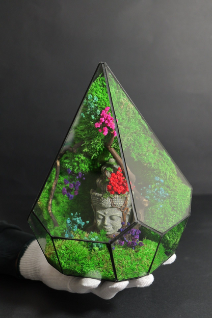 Terrarium 6