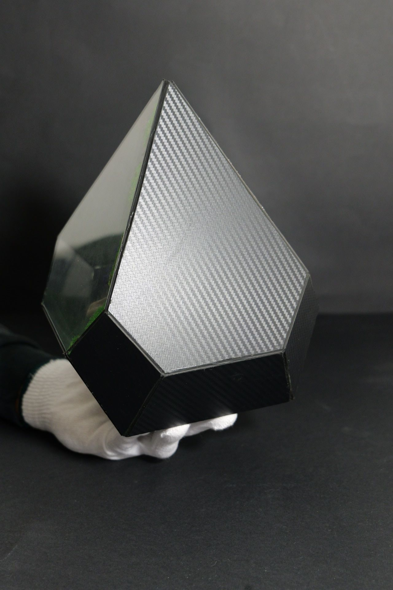 Terrarium 11