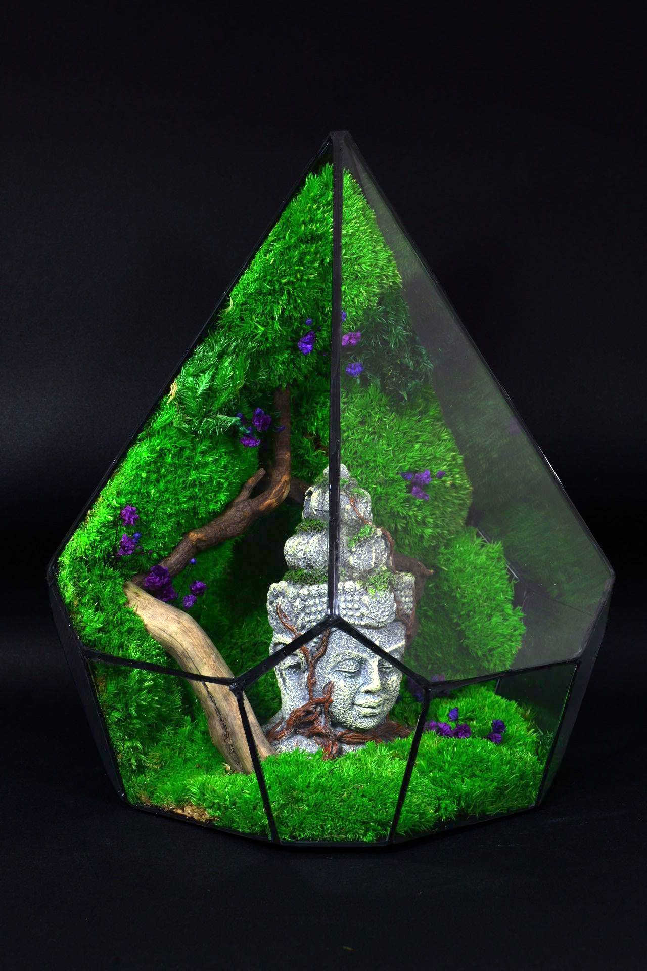 Terrario Decorativo per Casa e Ufficio – Design Naturale Minimal 47