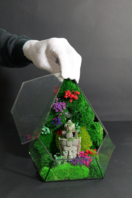 Terrarium 5