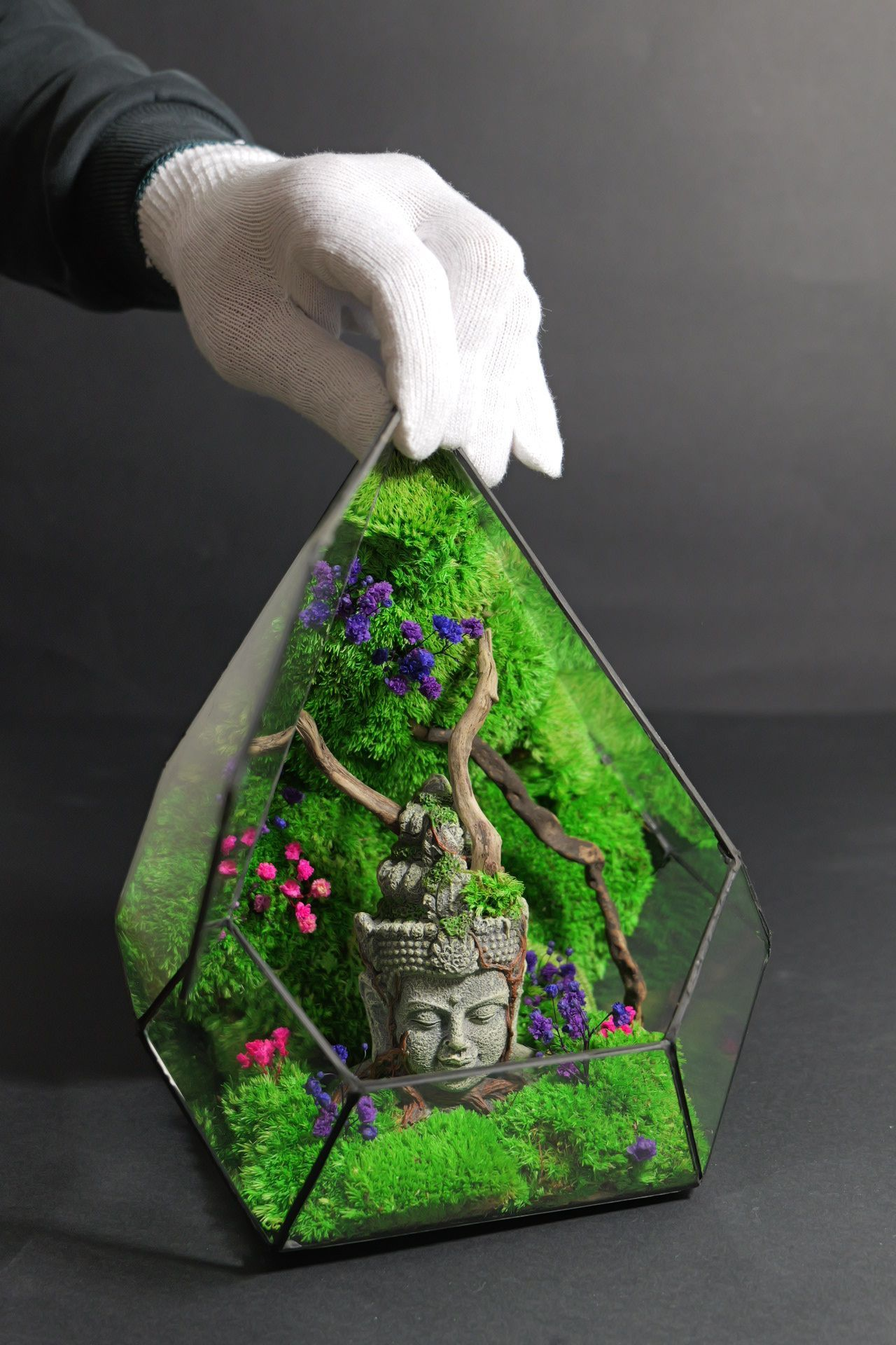 Terrarium 9