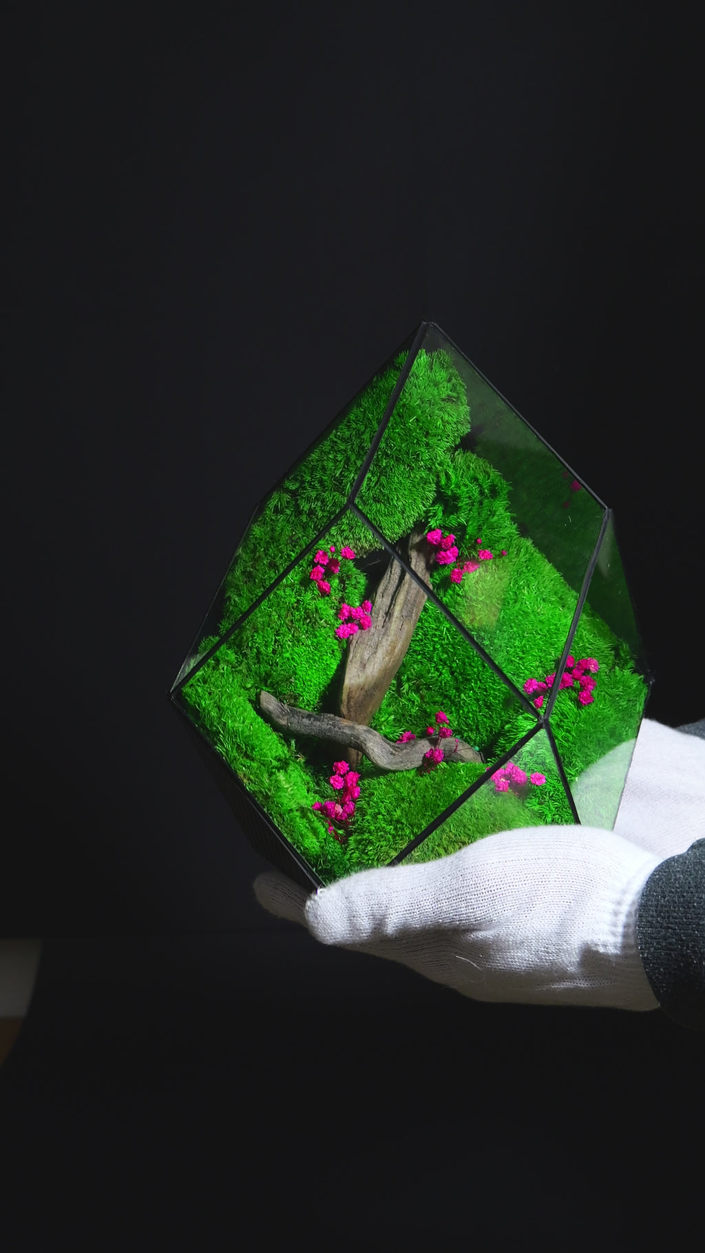 Terrarium di Design per Interni – Arredo Botanico Moderno 40