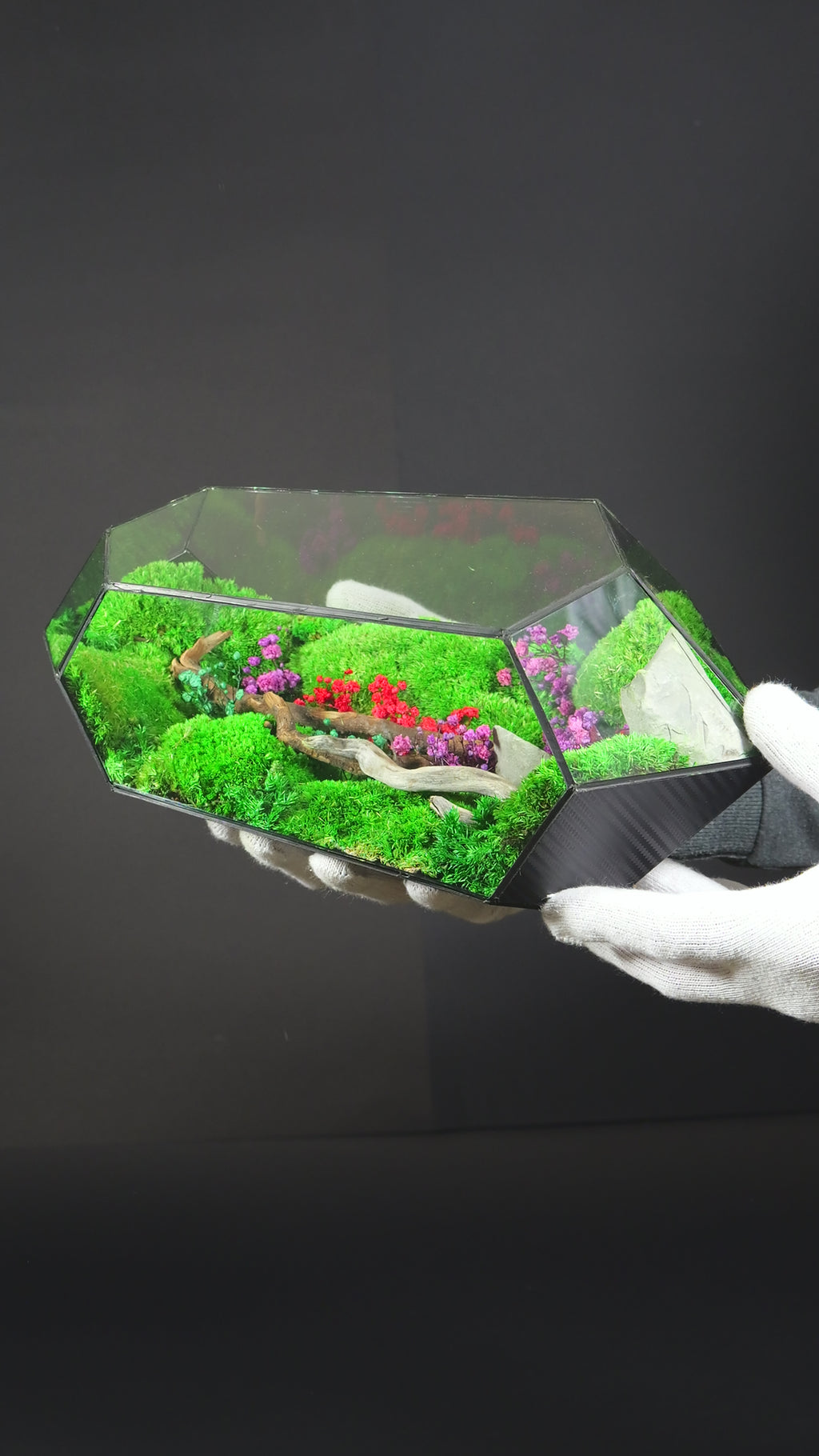 Terrario Botanico Decorativo – Oggetto di Design con Piante 3