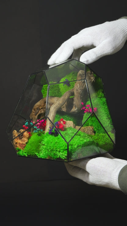 Terrarium 24 GRANDE