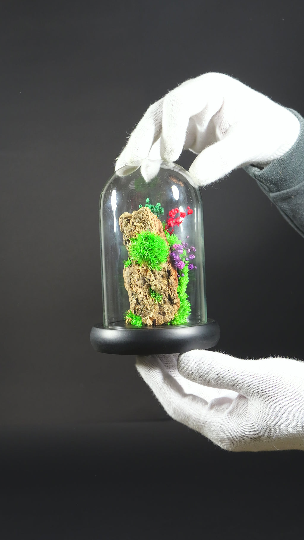 Terrario Chiusa Fatta a Mano – Decorazione Green di Design