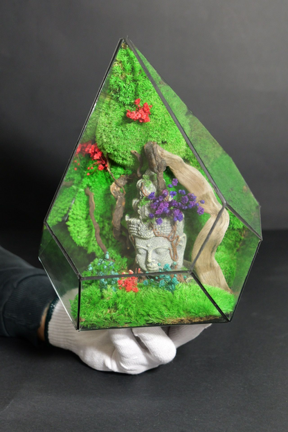 Terrarium 11