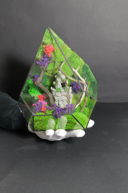 Terrarium 12