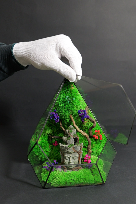 Terrarium 2
