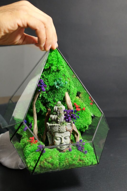 Terrarium 4