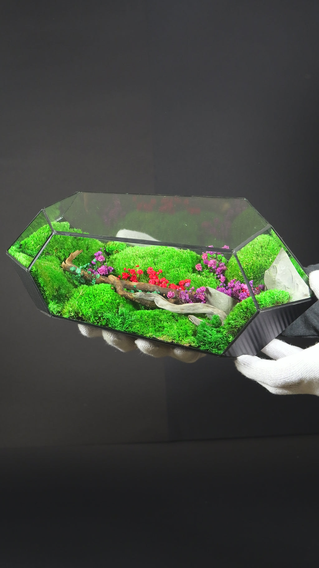 Terrario Botanico Decorativo – Oggetto di Design con Piante 3