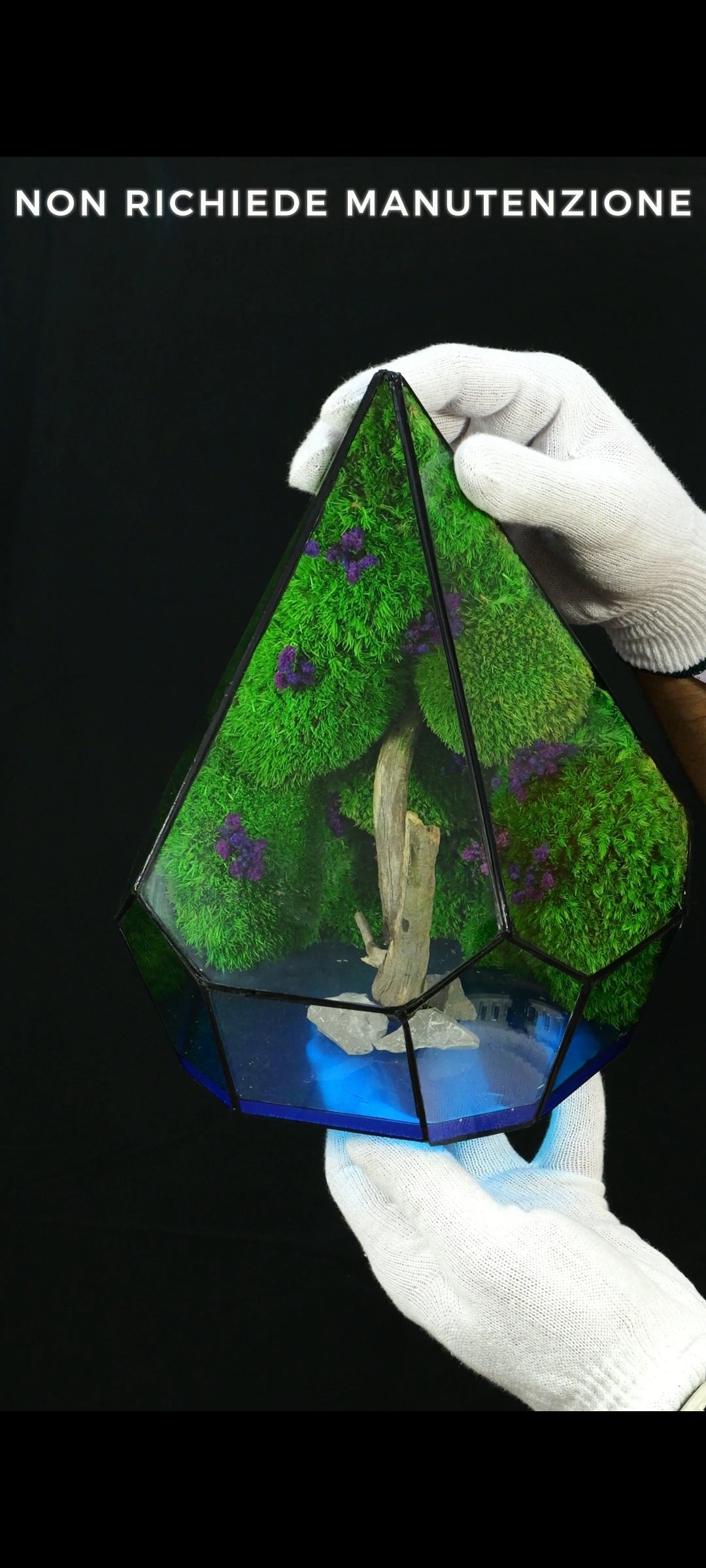 Terrarium fatto a mano lake N°57 Luminescente al buio da scrivania interior design