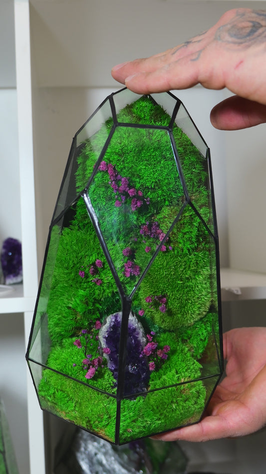 Terrarium 49