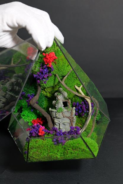 Terrarium 12