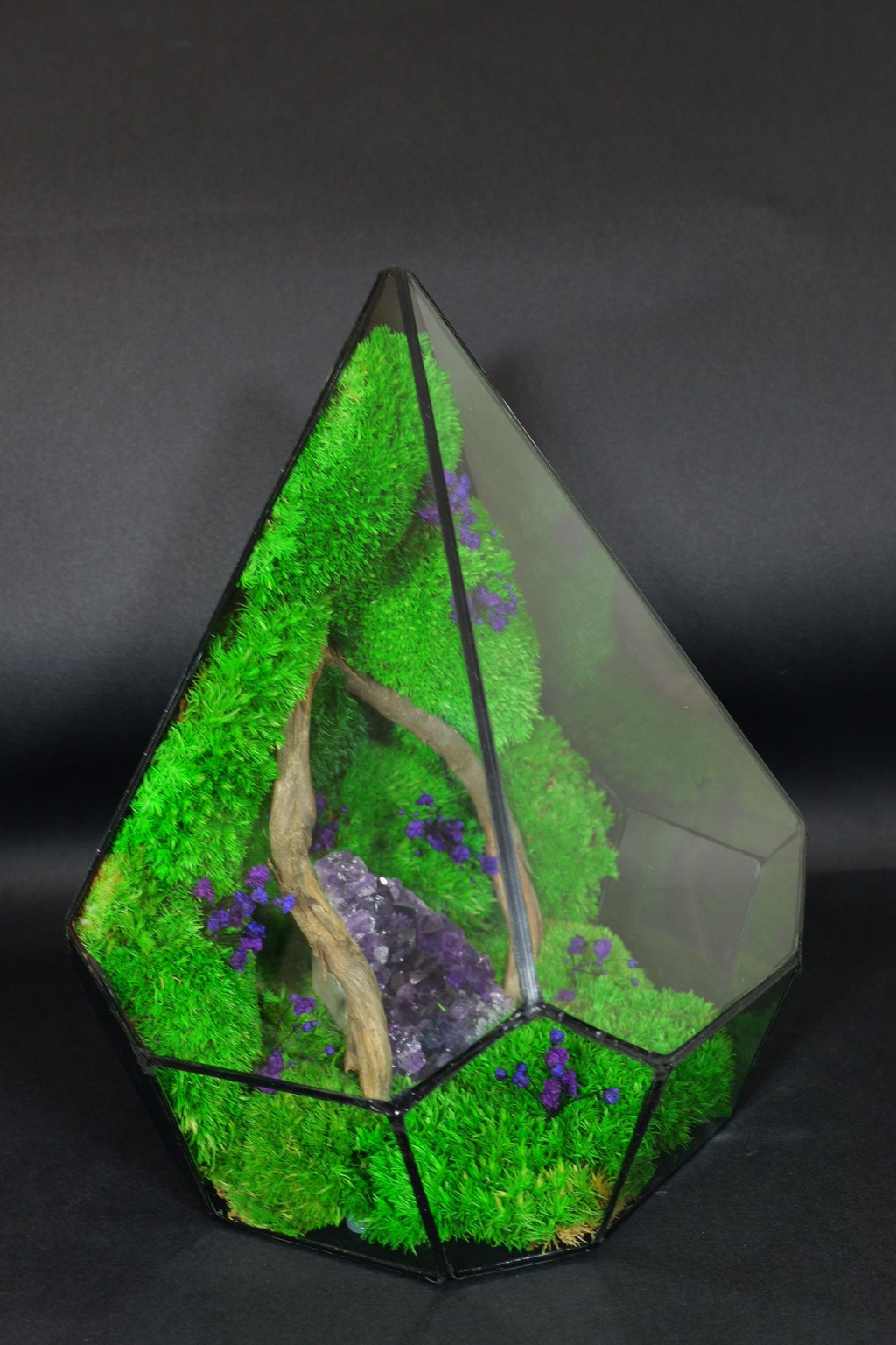 Giardino in Vetro Autosufficiente – Terrarium Handmade 44