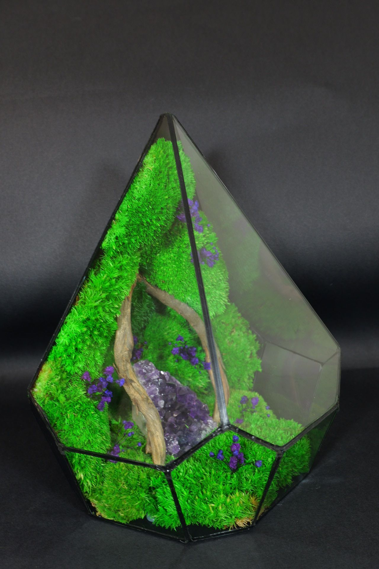 Giardino in Vetro Autosufficiente – Terrarium Handmade 44