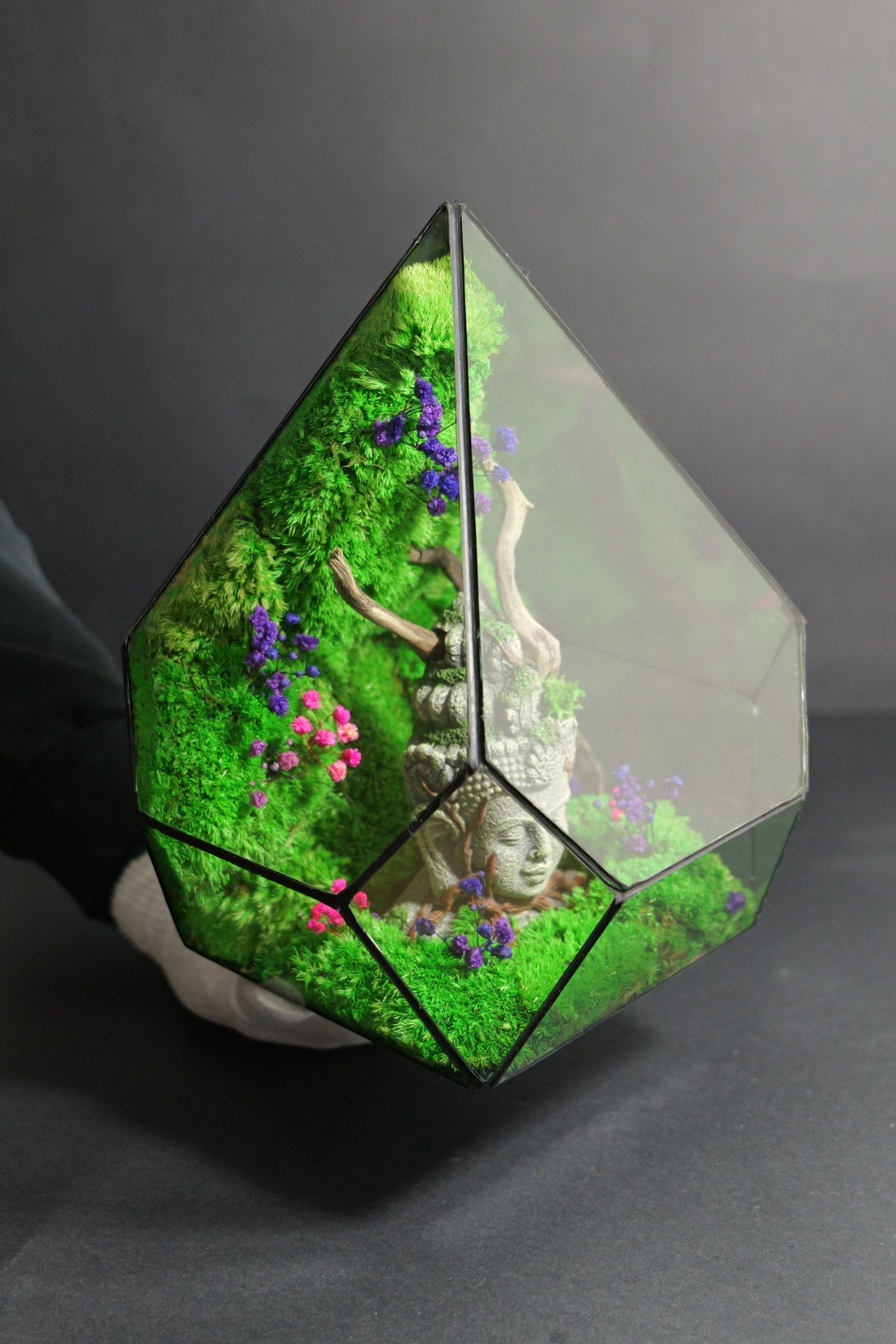 Terrarium 9