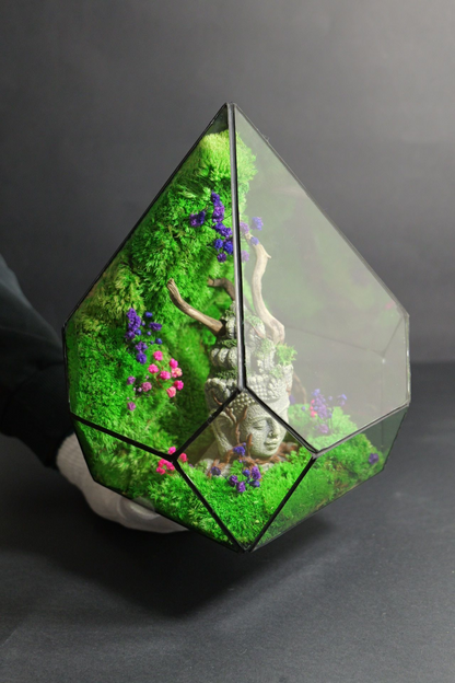 Terrarium 9