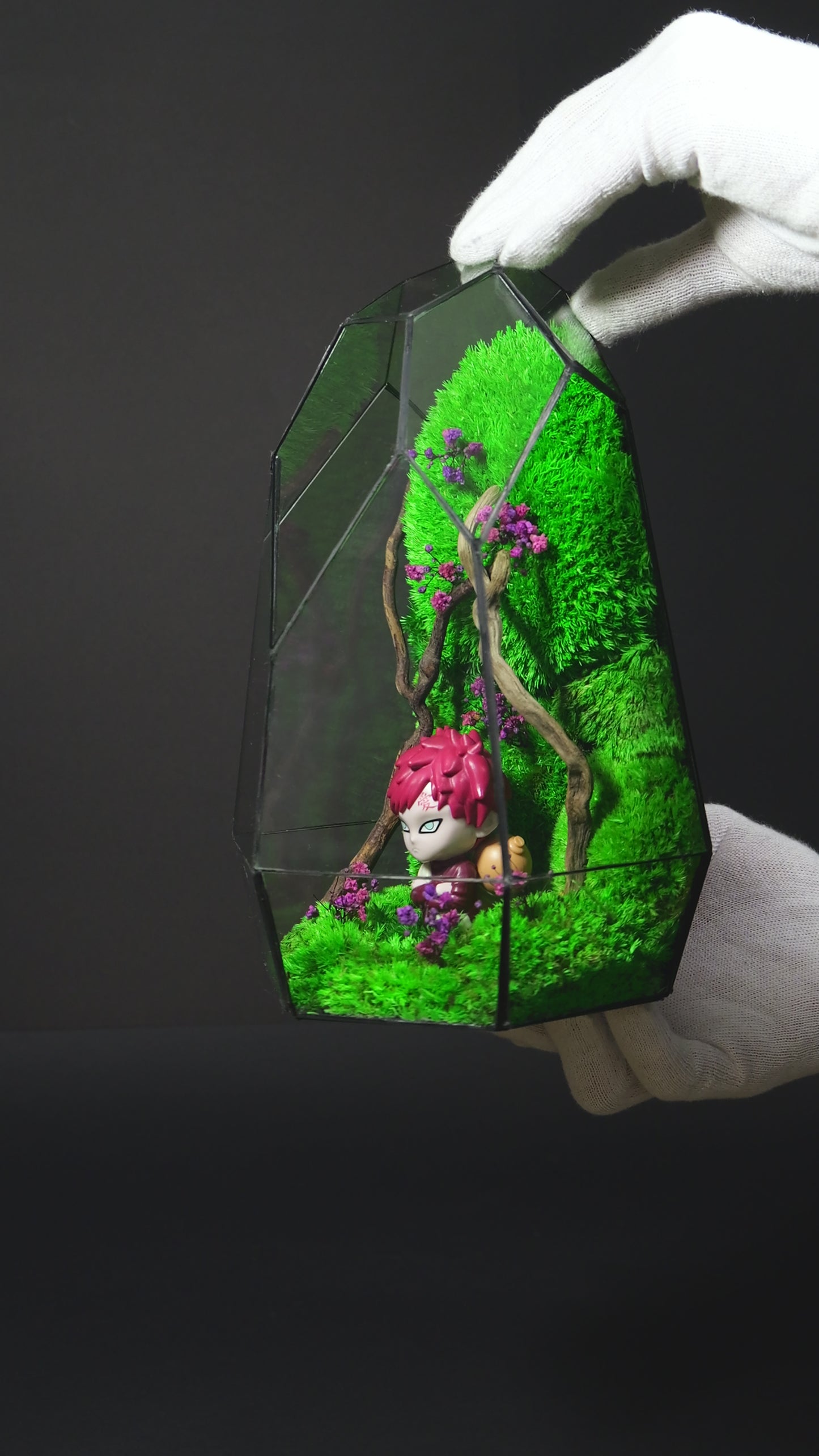 Terrarium 19 "Gaara"