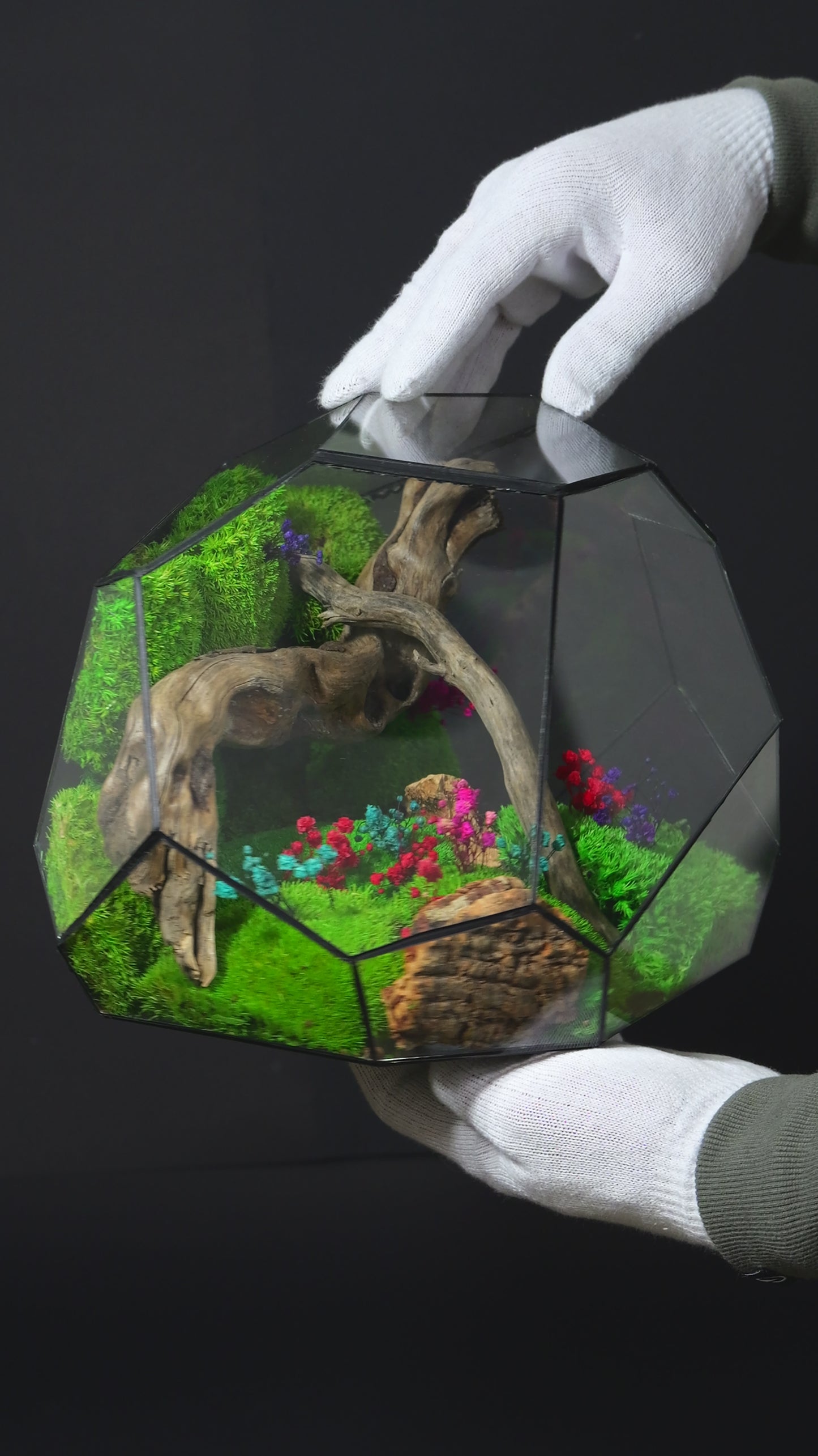 Terrarium 24 GRANDE