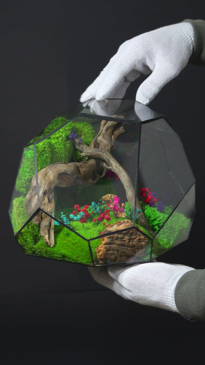 Terrarium 24 GRANDE