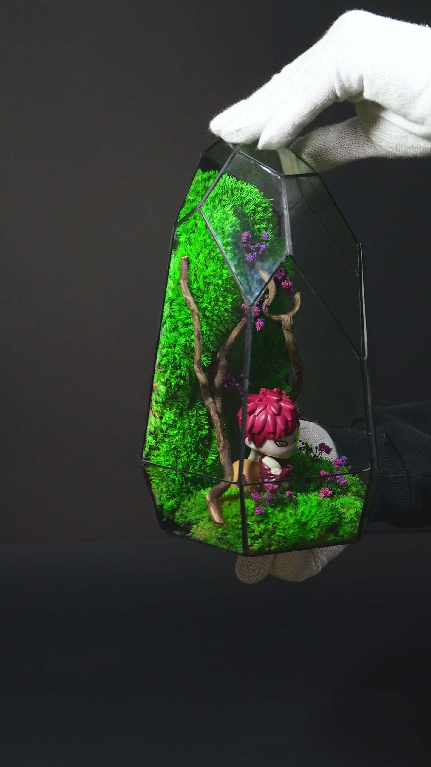 Terrarium 19 "Gaara"