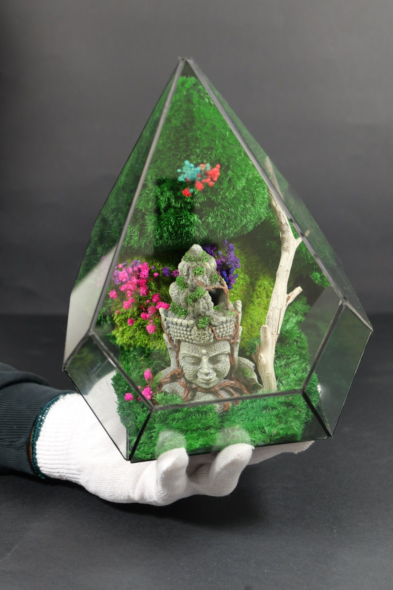 Terrarium 10